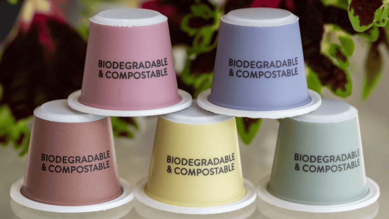 Biodegradable Plastics