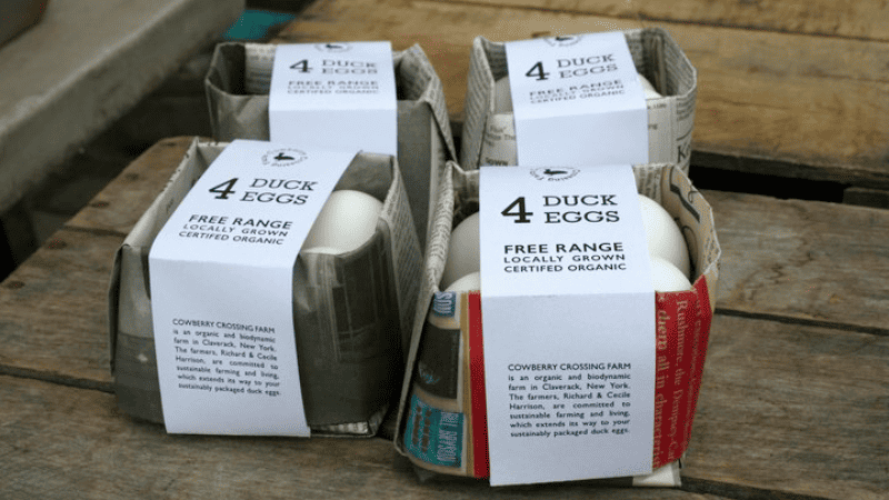 Folded newspaper packaging