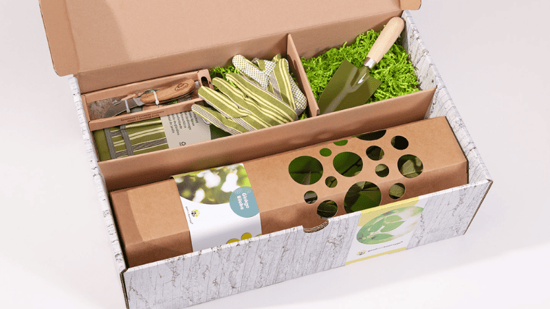 plant shipping box