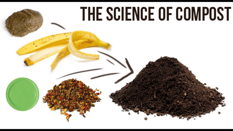 compostable process