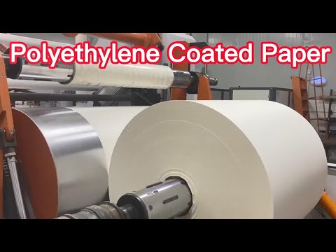 What is the PE coated paper?
