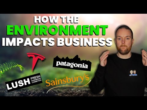 Green Business | How the Environment Impacts Business