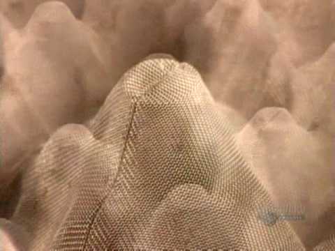 How It's Made Moulded Pulp Containers