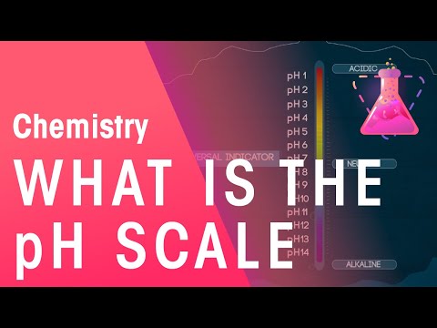 What Is The pH Scale | Acids, Bases & Alkalis | Chemistry | FuseSchool
