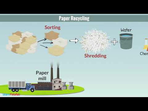 Recycling of Paper | Science