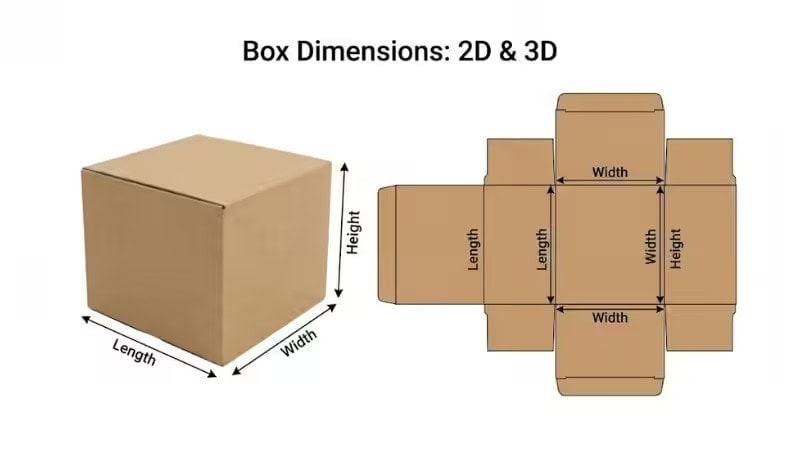 Box dimensions 2D dieline and 3D cardboard box illustration