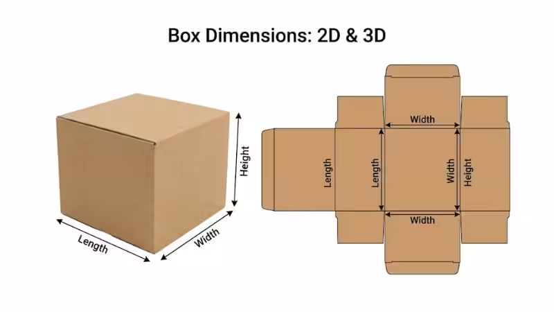 Box Dimensions: 2D & 3D