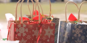 Sacos de presente