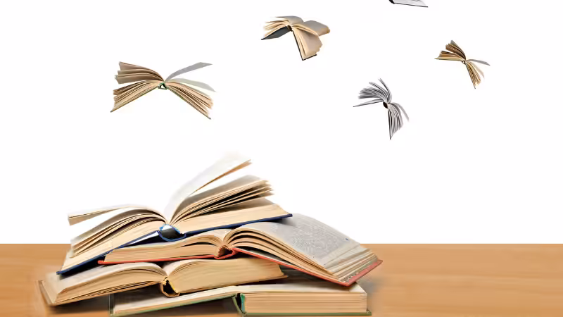 Se publica el libro en inglés