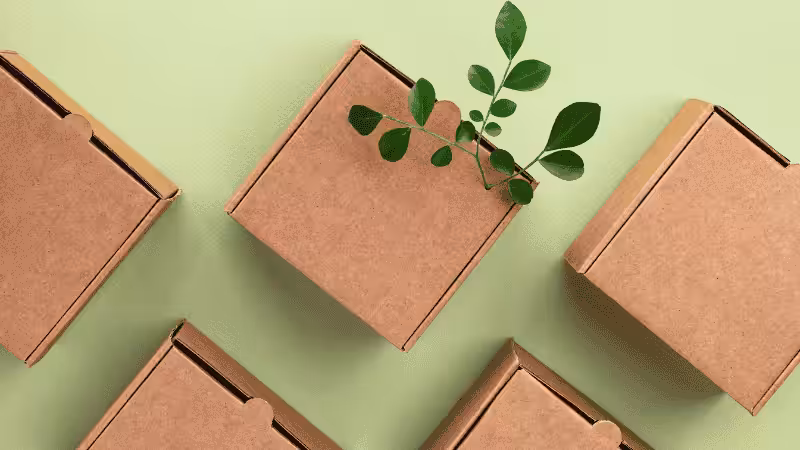 Recyclable Packaging