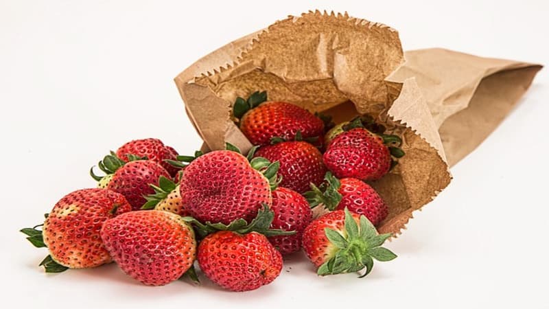 custom paper bags for packaging fruits