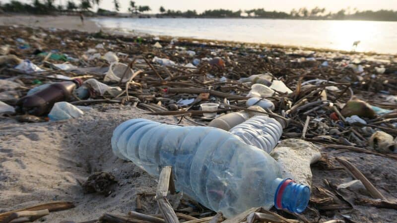 plastic environment pollution
