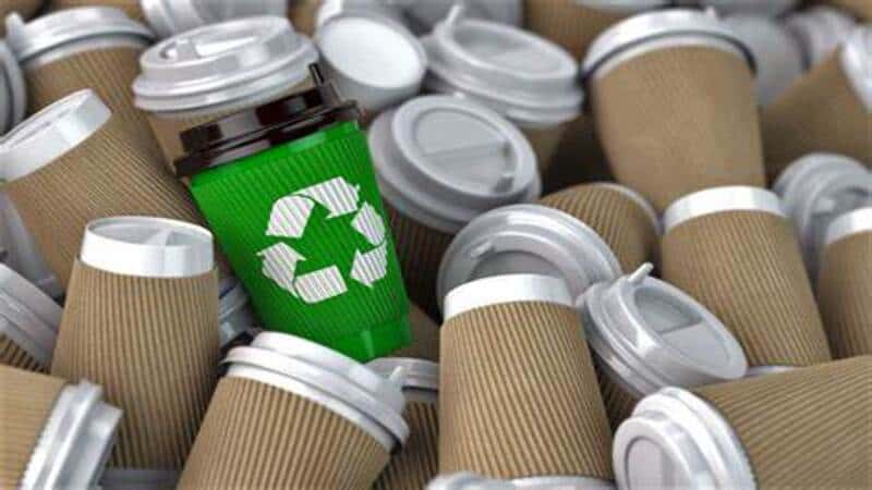 recyclable paper cups