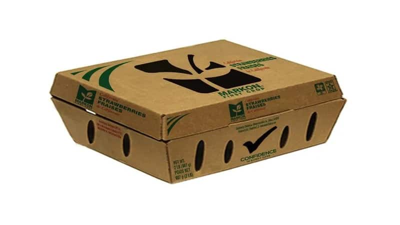 clamshell packaging; corrugated box