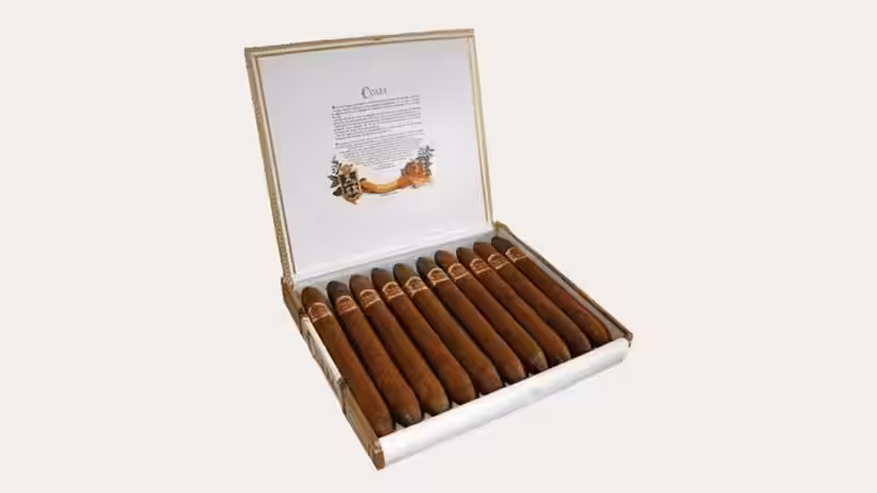 Open luxury wooden box for cigars, holding 10 premium cigars with branded bands, featuring decorative inner lid text and ornate border detailing.