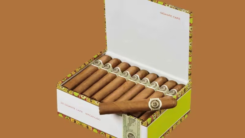 Open Macanudo Gigante Cafe box for cigars, holding 25 premium cigars with decorative colorful borders, showcasing luxury cigar packaging design.