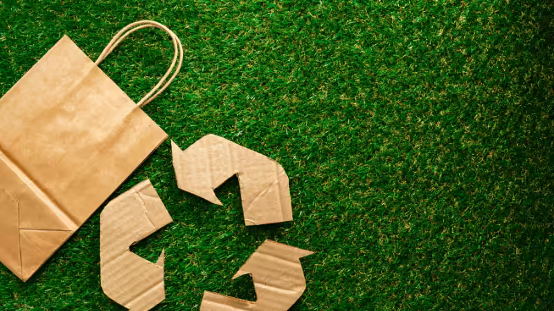 Eco-friendly paper bags