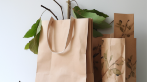 Paper Bags Reusable