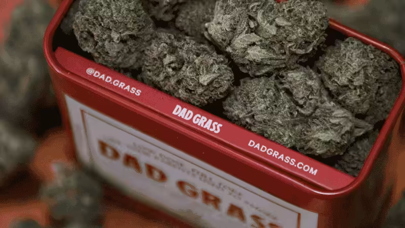 Weed Subscription Box