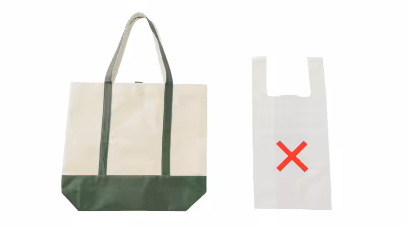choose sustainable bag instead of plastic bag