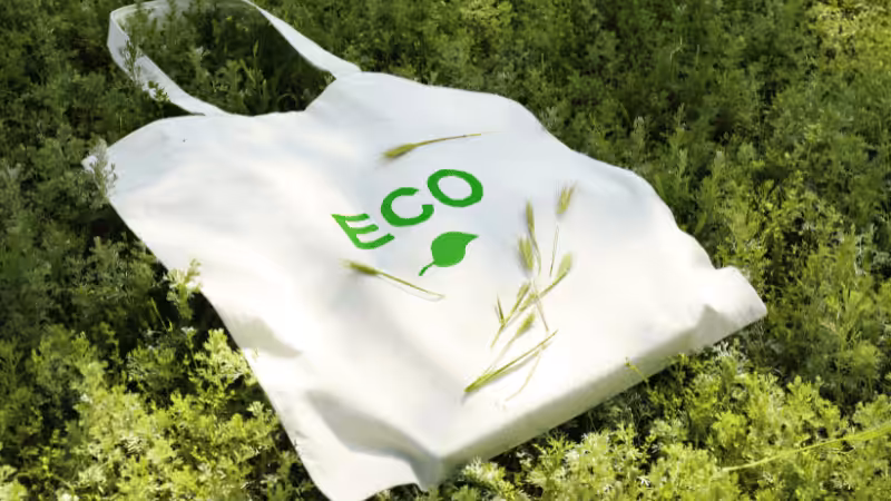 Organic Cotton Bags
