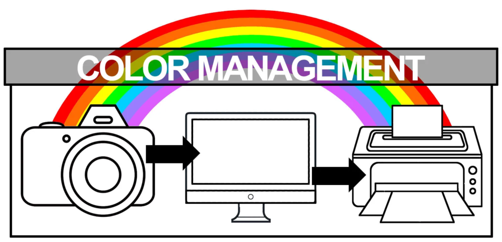 Color management system