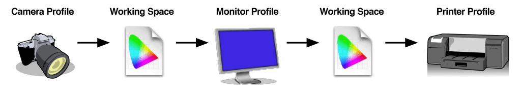 Color management workflow