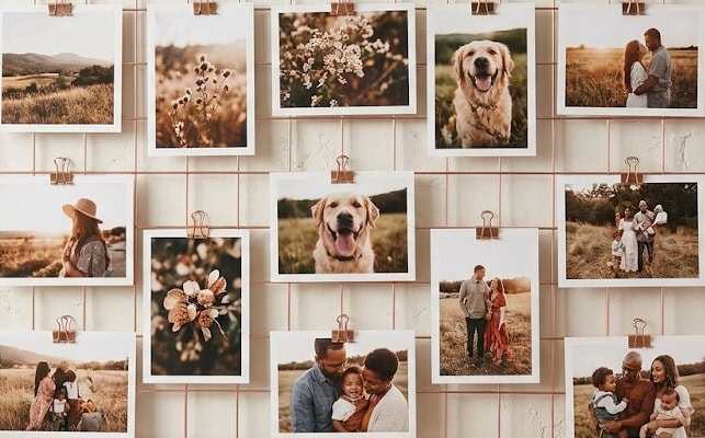 Matte Photo Paper
