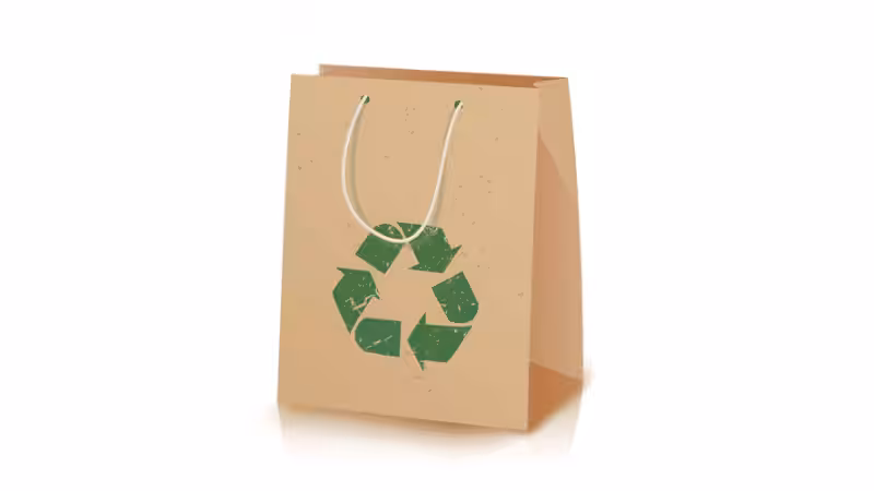 recycled paper bag