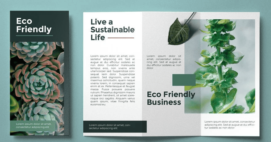 Sustainable Brochures