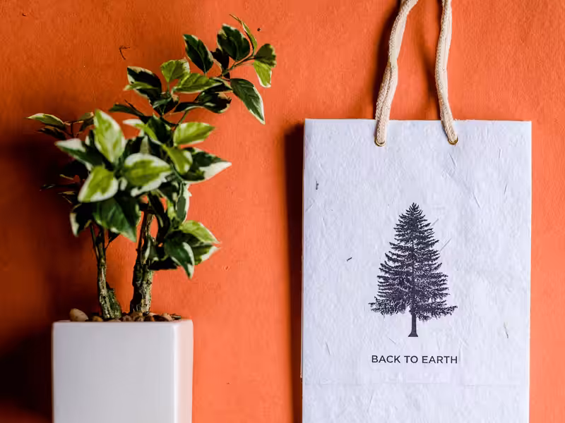 Plantable Materials paper bag
