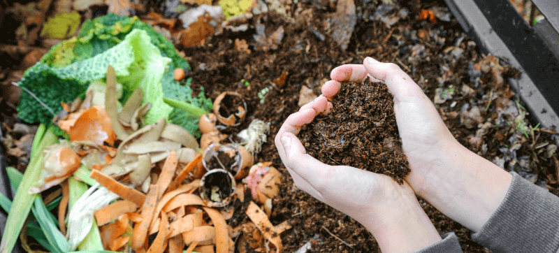 What is compostable packaging made of？