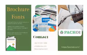 Best Fonts for Brochure Printing
