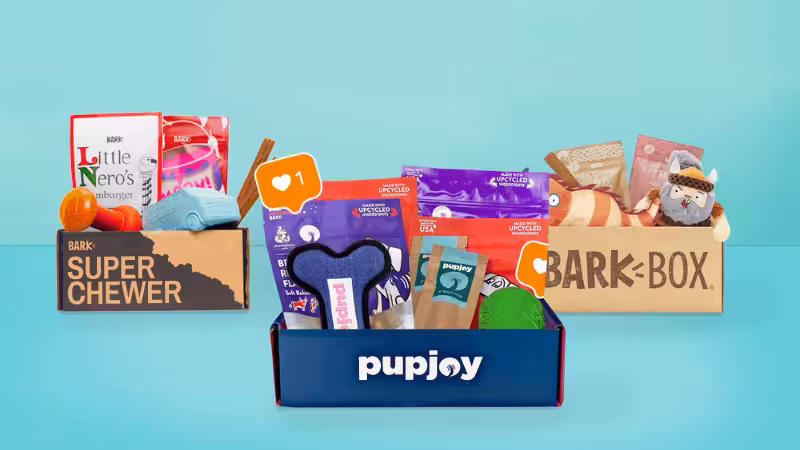 pet subscription boxes