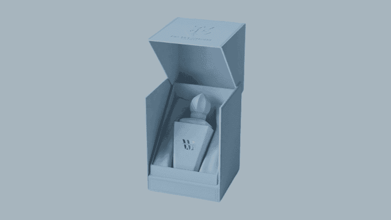 box insert with cosmetic packaging