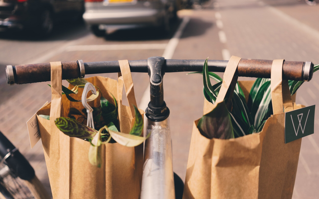  Sustainable Shopping Bag