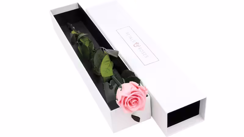 boîte d'expédition créative