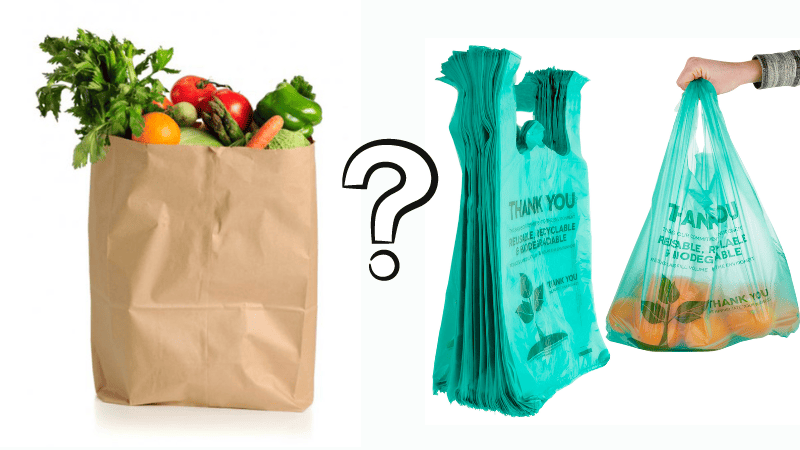  Paper Bag vs. Plastic Bag