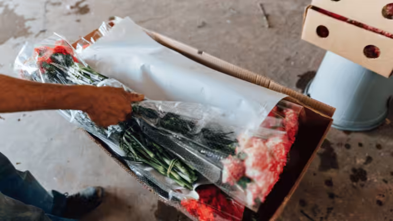 expédiez votre colis de fleurs