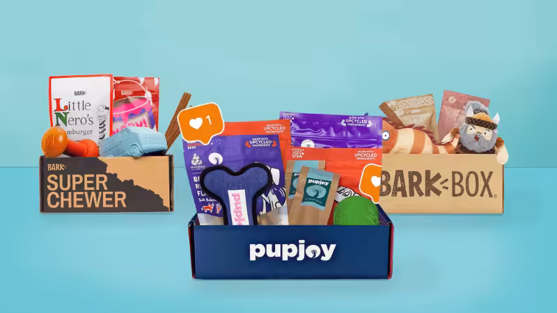 Pet Subscription Box