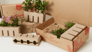 scatole per la spedizione di piante