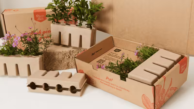 plant shipping boxes