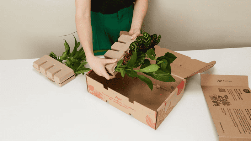 plants shipping box