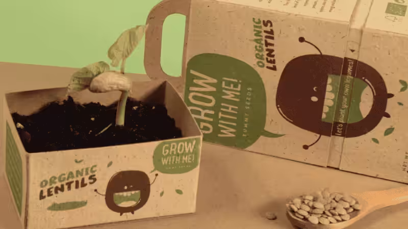 Multiple-Use Eco-friendly Packaging
