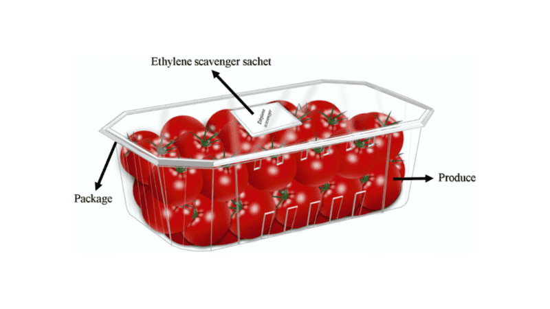 an active packaging with tomato