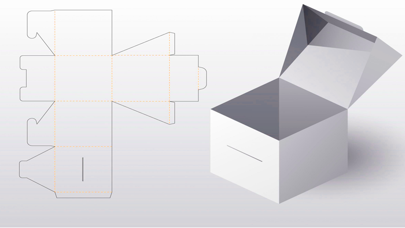 Custom Product Carton Packaging Design