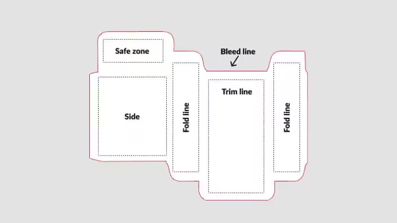 Carton Packaging Dieline and 3D Rendered Box