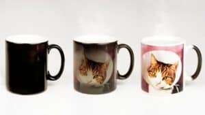 thermochromic ink mugs