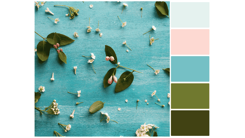 Color palette for an image