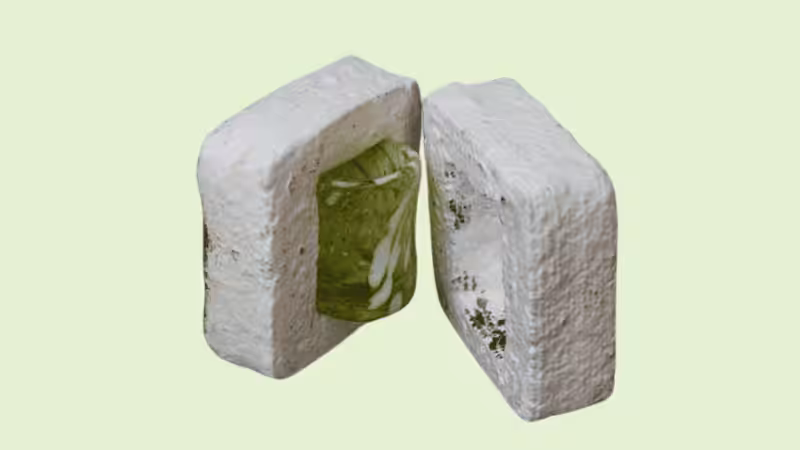 a glass cup putting in a mushroom packaging